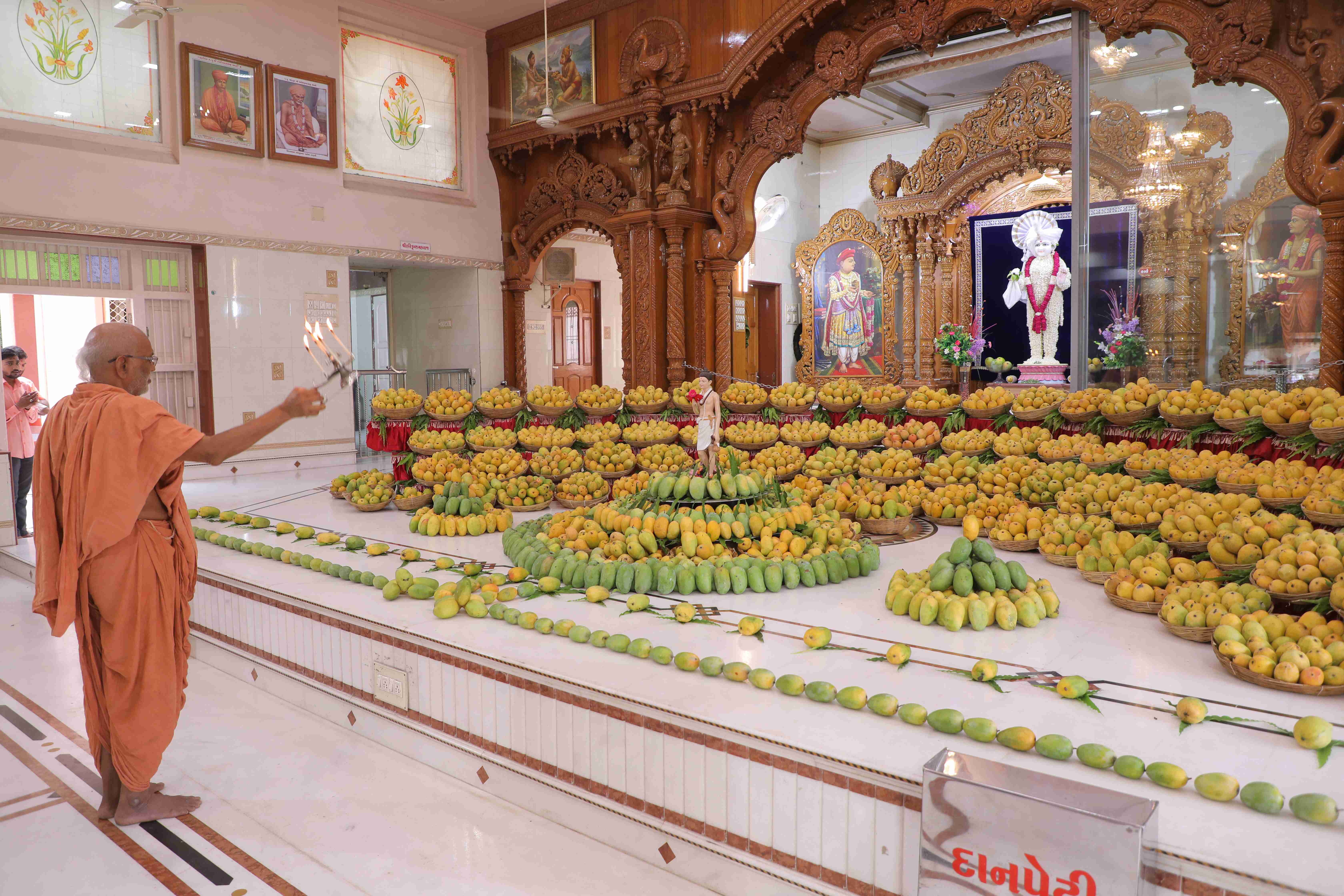 1500 Kg of Mangoes Annakut were offered to God Swaminarayan and all ...