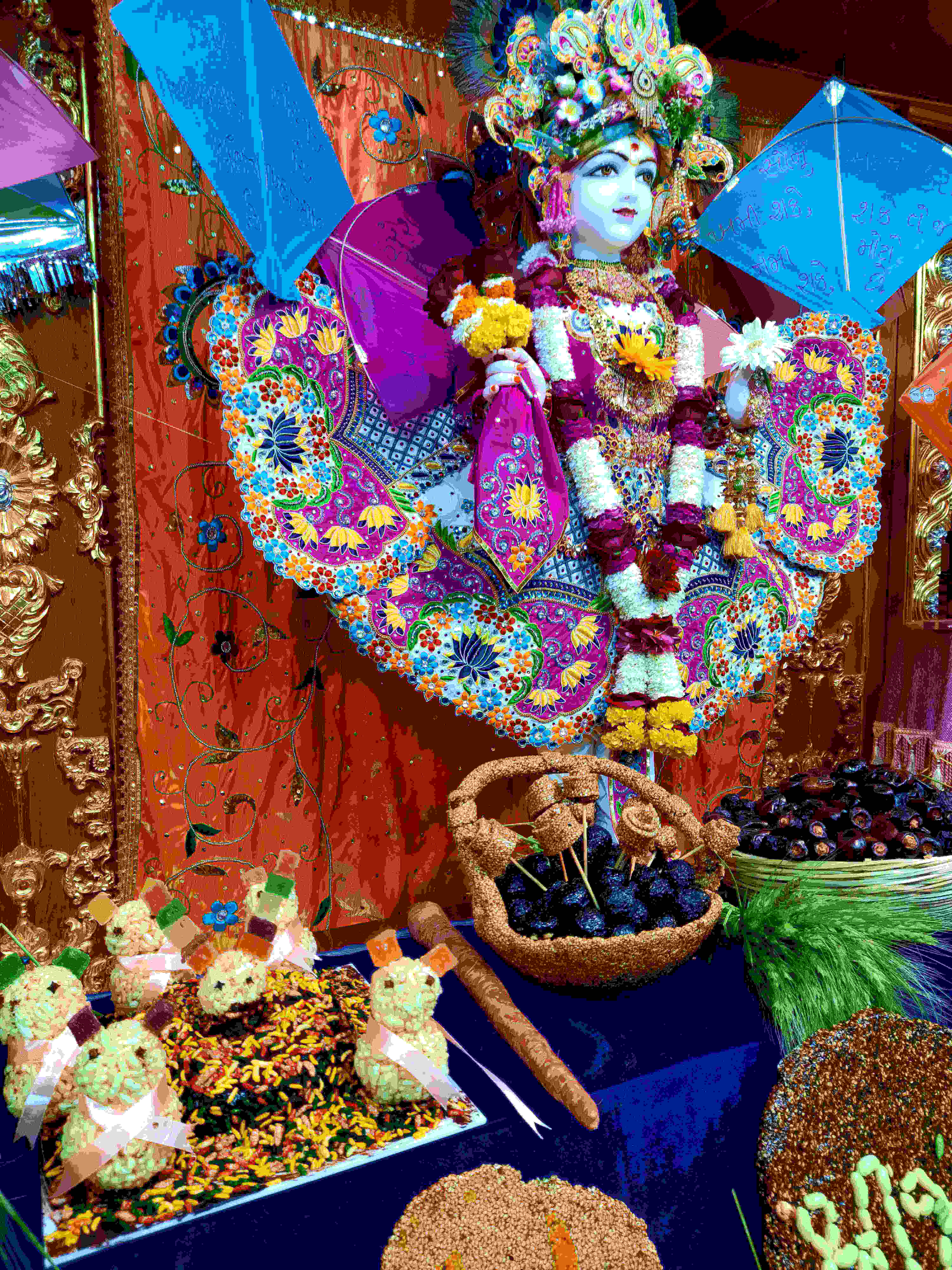 Makarsankranti Hatdi Darshan - Mumbai | Swaminarayan Gurukul Rajkot ...