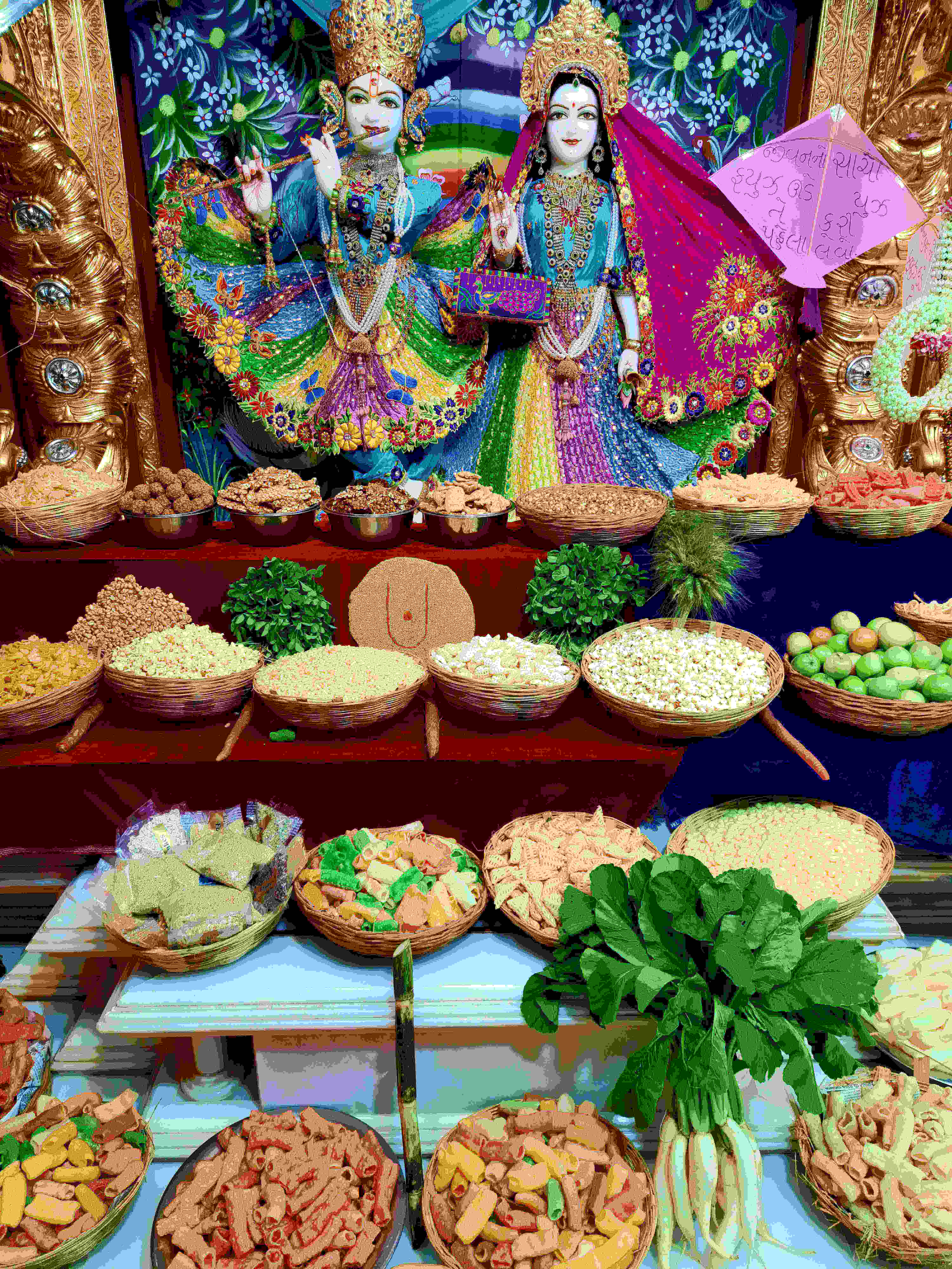 Makarsankranti Hatdi Darshan - Mumbai | Swaminarayan Gurukul Rajkot ...