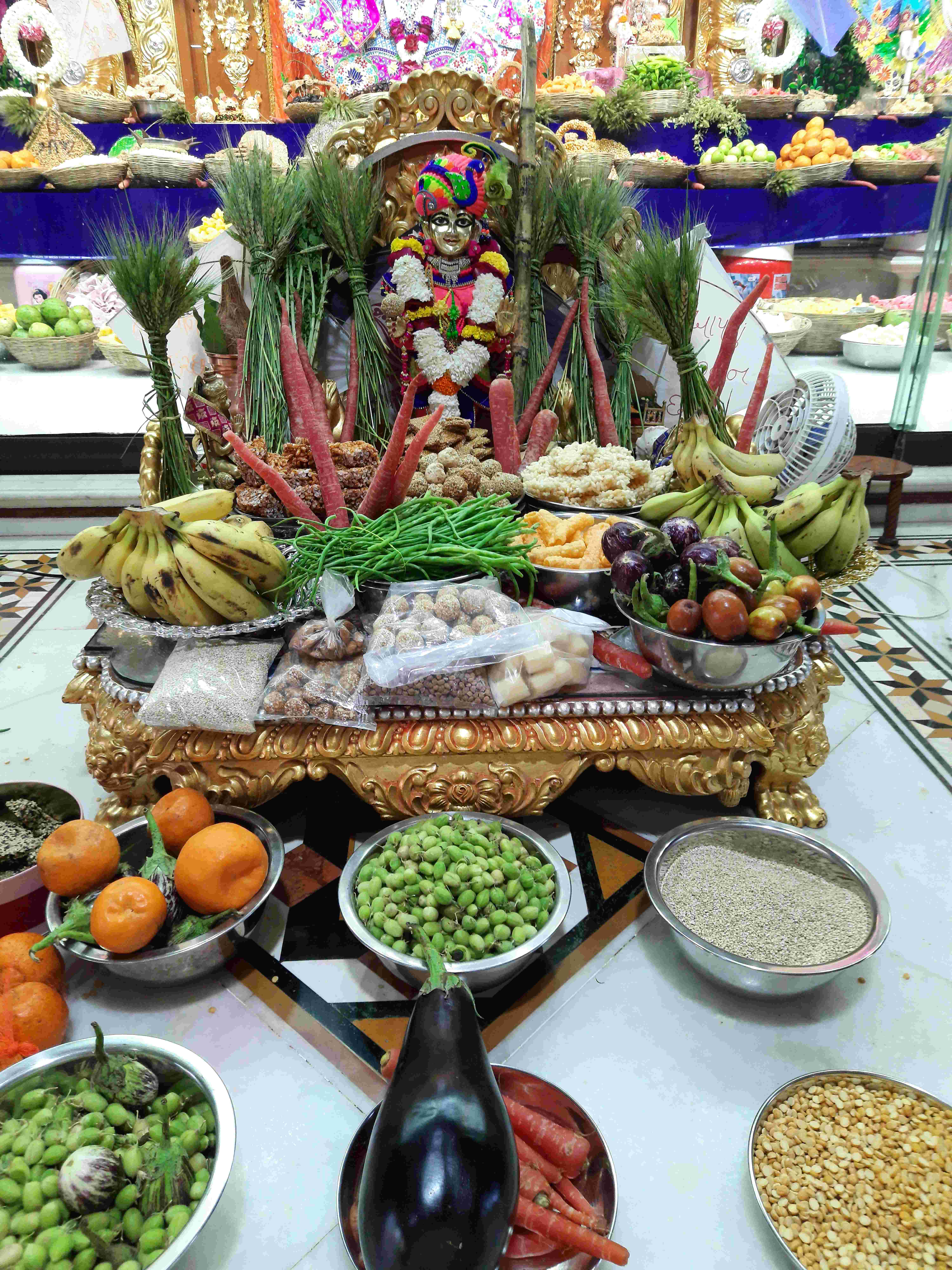 Makarsankranti Hatdi Darshan - Mumbai | Swaminarayan Gurukul Rajkot ...